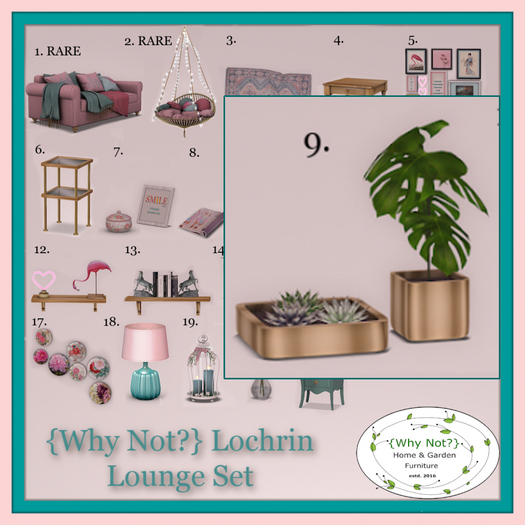 9.{Why Not?} Lochrin Pot plants