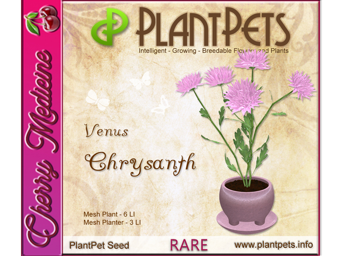 PlantPet Seed [Chrysanth *Venus*]