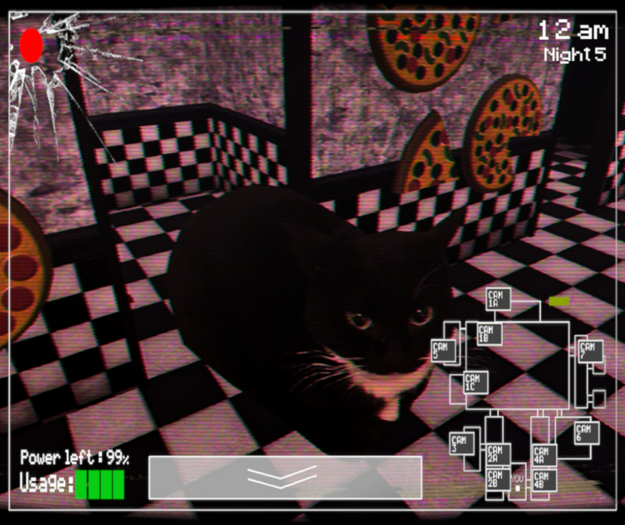 maxwellthecat