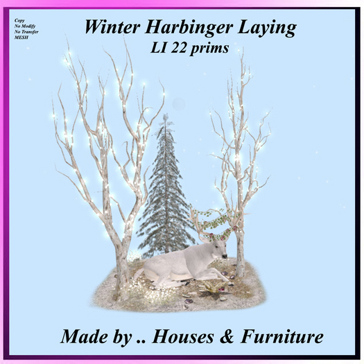 Winter Harbinger Laying