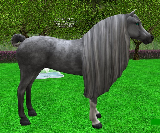 horse