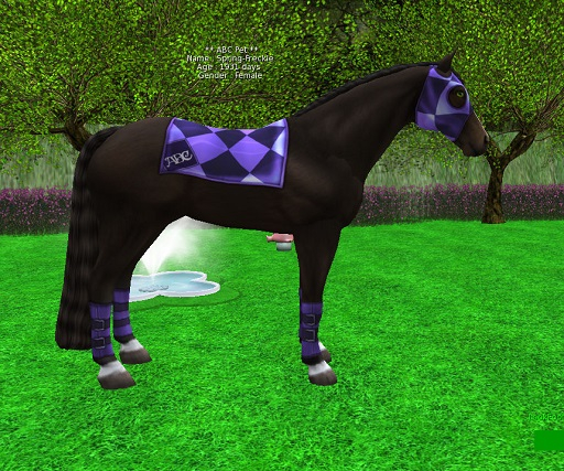 horse