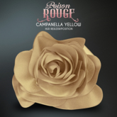 POISON ROUGE Campanella Yellow