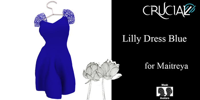 Crucial - Lilly Dress Blue Box