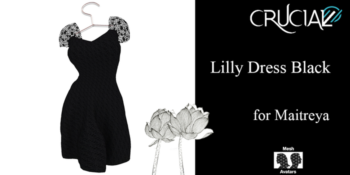 Crucial - Lilly Dress Black Box