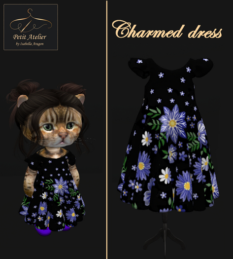 Charmed dress