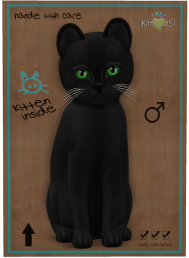 KittyCatS Box - Russian - Black