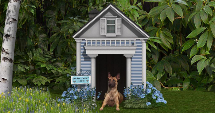 Geranium BLUE DOG HOUSE