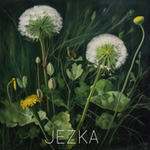 JEZKA - Full Perm Texture 400