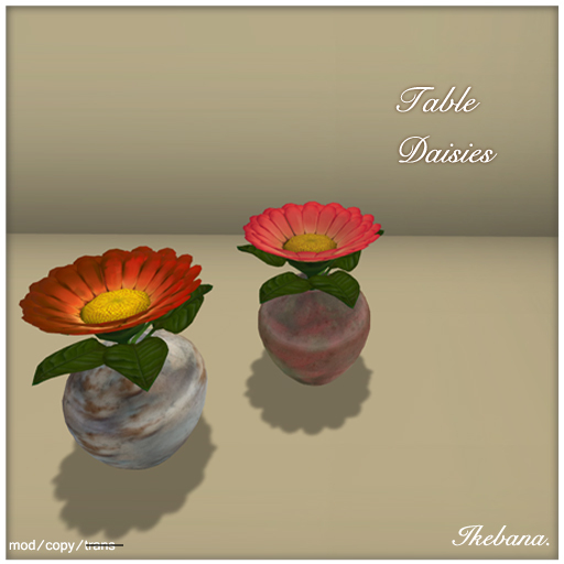 Ikebana. ~ Table Daisies
