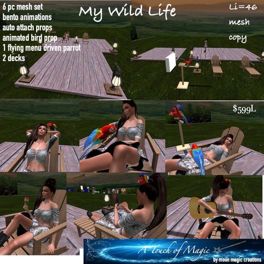 My Wild Life set-Box LI=46