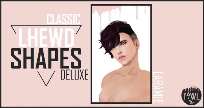 LEER - SHAPE PACKAGE (LARAMIE) DELUXE