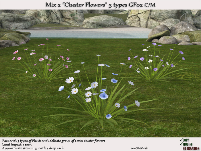 Flowers wildflowers cluster Mix2 [3 types] GF02
