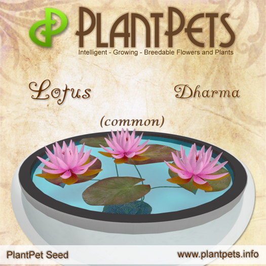 PlantPet Seed [Lotus *Dharma*]