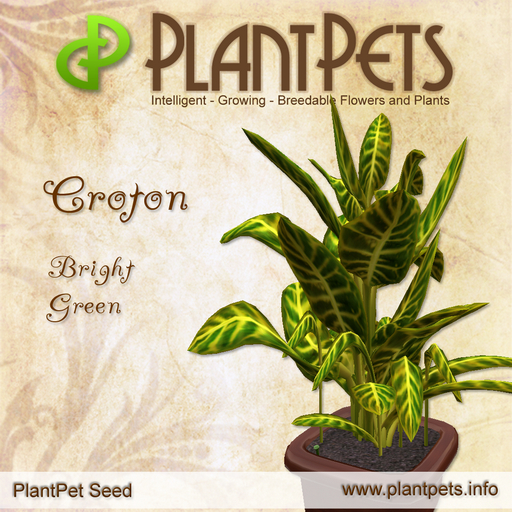 PlantPet Seed [Croton *Bright Green*]