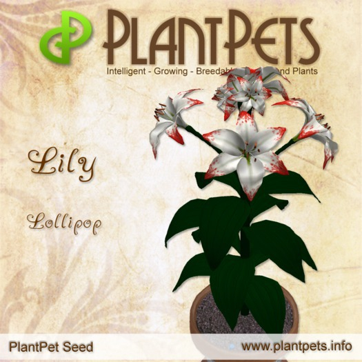 PlantPet Seed [Lily *Lollipop*]