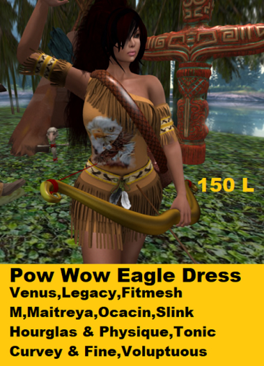Native Eagle Pow Wow Dress