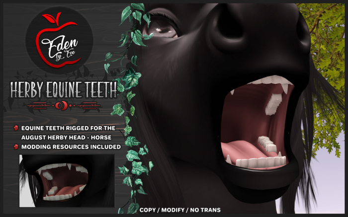 Eden by Eve // Herby Equine Teeth