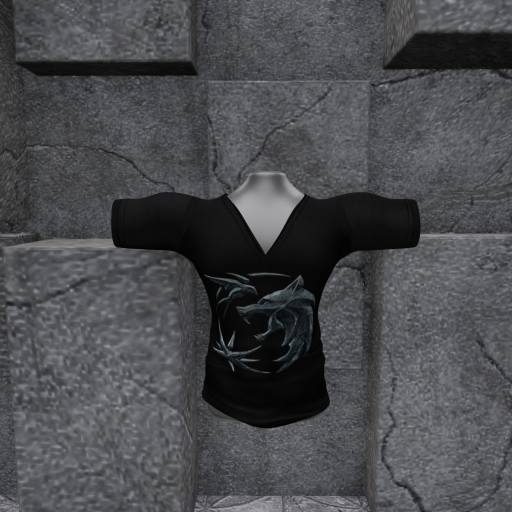 WTFW ~WITCHER V NECH T-SHIRT