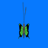 {Papillon} Flutter Butterfly (Female) Tier-1 (Baby), Baby Normal Shin