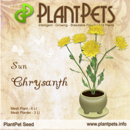 PlantPet Seed [Chrysanth *Sun*]