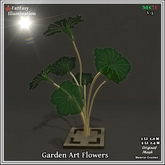 Garden Flowers
