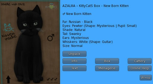 KittyCatS Box - New Born Kitten