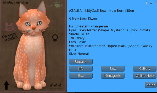 KittyCatS Box - New Born Kitten