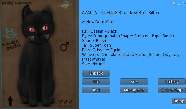 KittyCatS Box - New Born Kitten