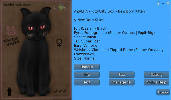 KittyCatS Box - New Born Kitten