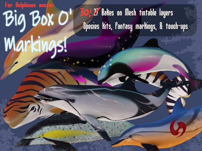 ZIGOTON - Delphinus Big Box O Markings