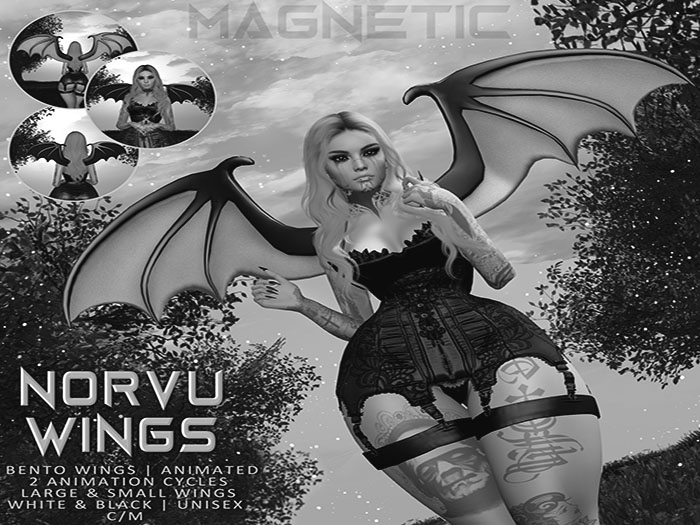 Magnetic - Norvu Wings DEMO