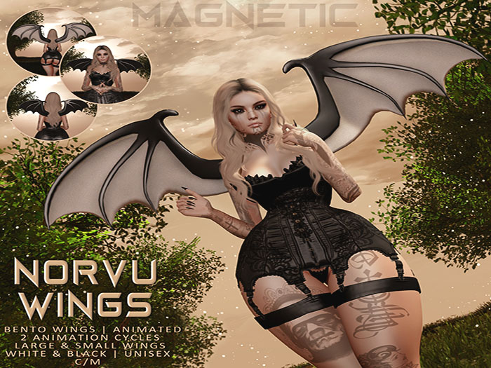 Magnetic - Norvu Wings