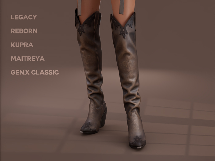 $NT Outlaw Boots TILLY