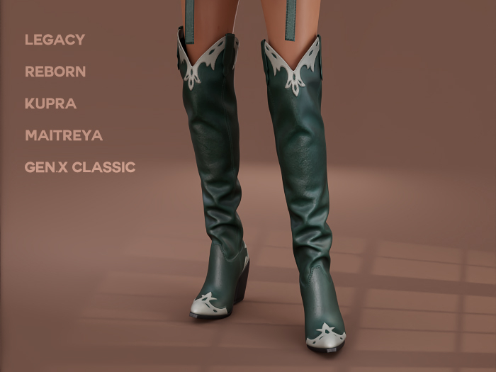 $NT Outlaw Boots LENNY