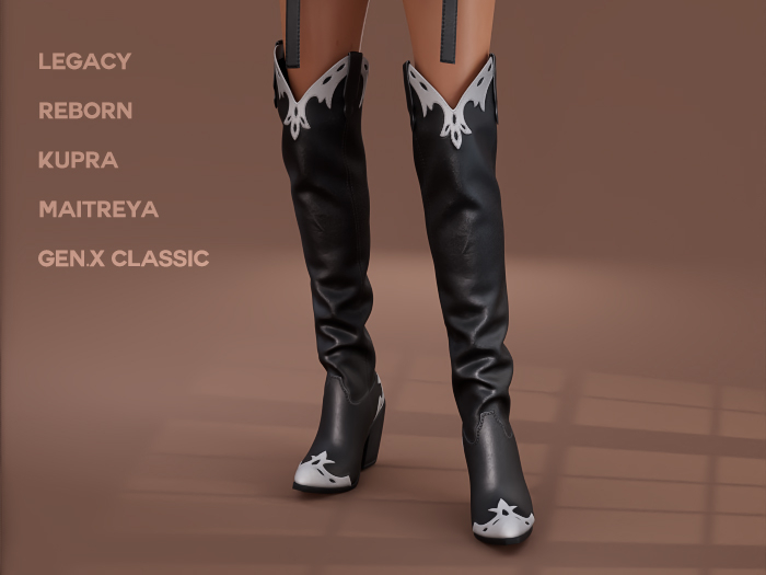 $NT Outlaw Boots JOHN