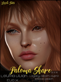 Little Star : Paloma Shape / Lelutka Vivian [EvoX]