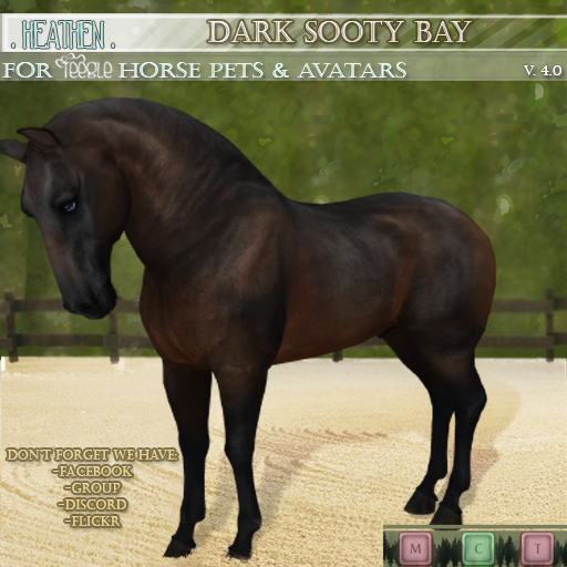 [. HEATHEN .] - Teegle HORSE coat -  Dark Sooty Bay -{REZ}