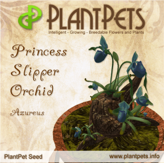 PlantPet Seed [Princess Slipper Orchid *Azureus*]