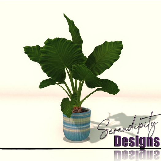 Serendipity Designs - Coventry LR Potted Alocasia 