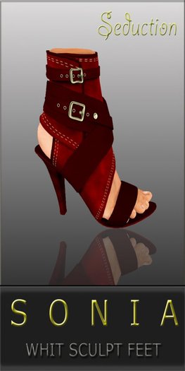 *Sonia Red Shoes* Ankle Strapped Sandals