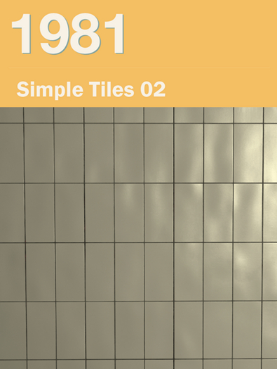 1981 Simple 02