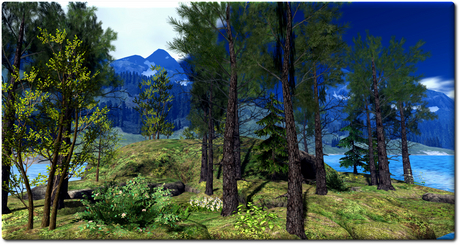 Second Life Scenes Second Life Marketplace - Forest Scene With Cave by Felix 52x52m=95Li c+m