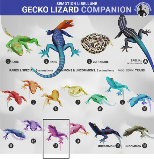SEmotion Libellune Gecko Lizard Companion COMMON 13