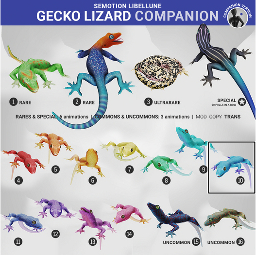SEmotion Libellune Gecko Lizard Companion COMMON 10
