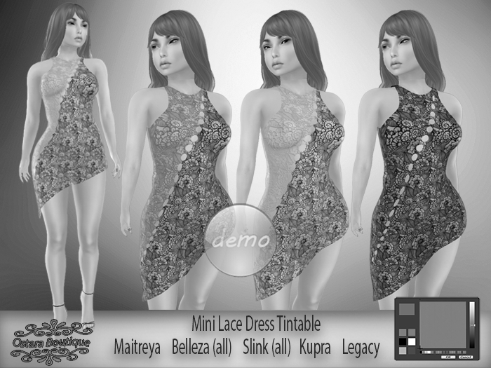 Mini Lace Dress Tintable DEMO 