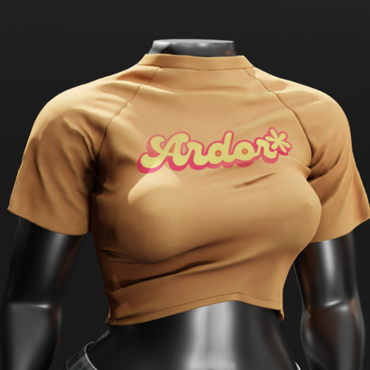 ardor* baseball tee (logo-orange)