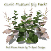 T-Spot Mesh - Garlic Mustard Big Pack - FP - LI=0.5-1.2