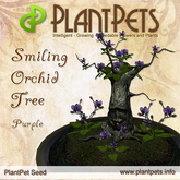SALE - PlantPet Seed [Smiling Orchid Tree *Purple*] - RARE ELITE - free breeding - no extra costs