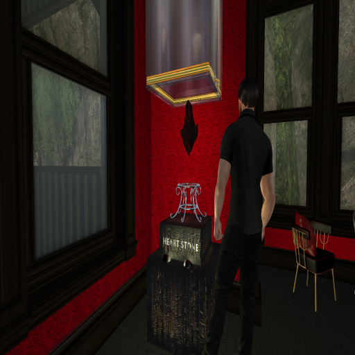 ~(DER)~ Heart stone cases